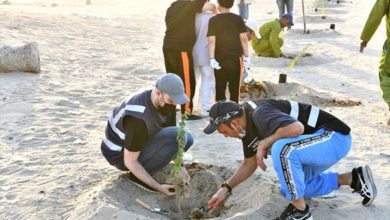 «الزراعة» تواصل التخضير.. ومحطتها الجديدة في الجهراء